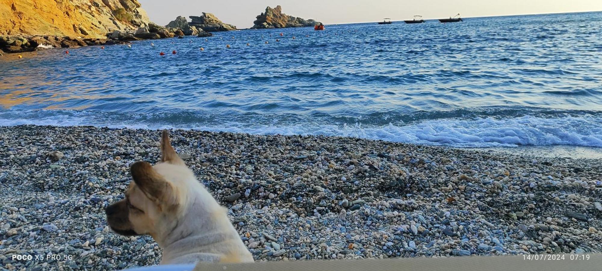Mades Magic Place Agia Pelagia  Exterior photo